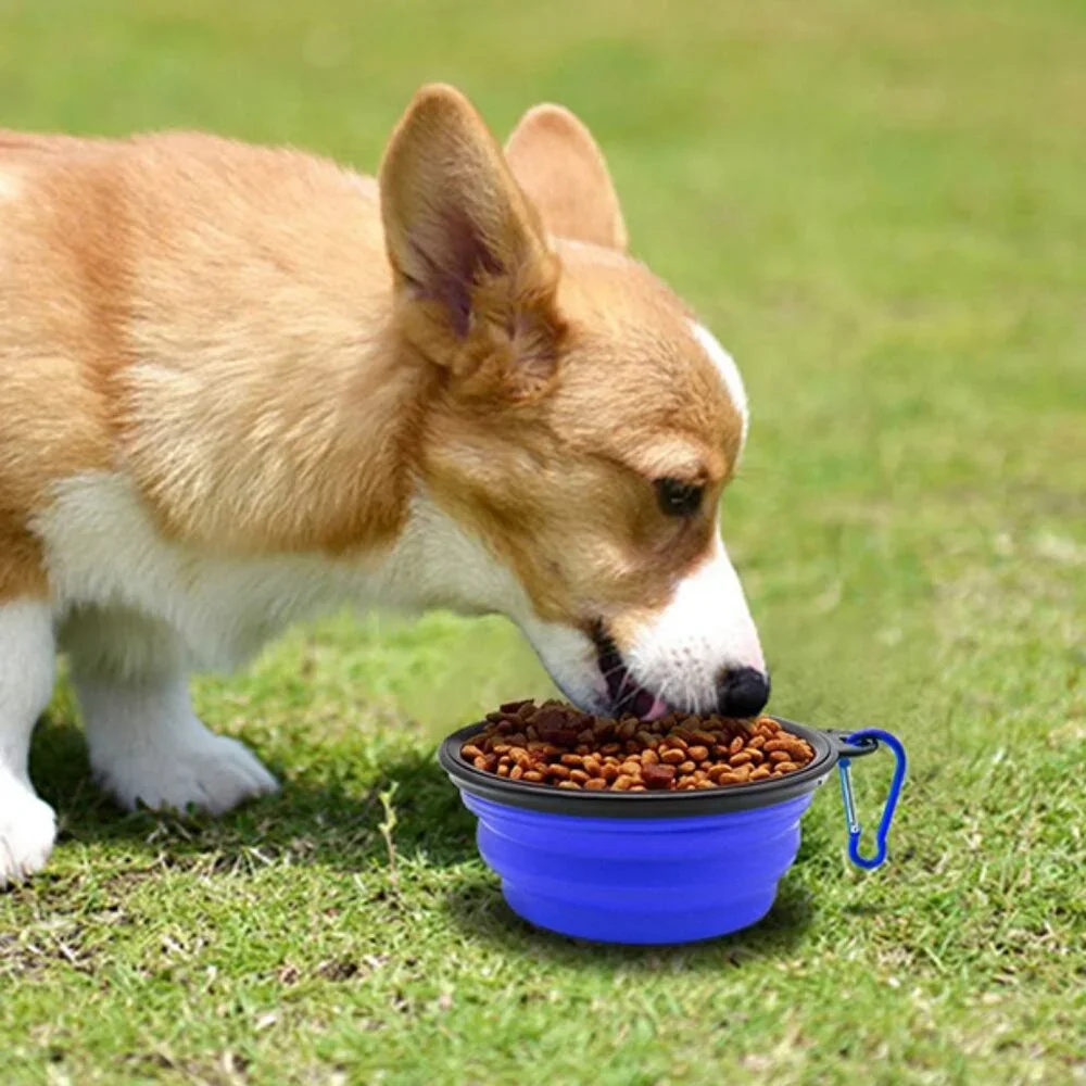 New Collapsible Dog Bowls 2 Pack Portable Pet Travel Dishes with Carabiners